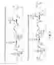 Fig. 04 - Method for treating a disorder associated with Eya dysregulation by modulating Eya phosphatase activity