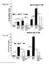 Fig. 06 - Method for treating a disorder associated with Eya dysregulation by modulating Eya phosphatase activity