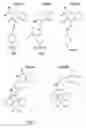 Fig. 08 - Method for treating a disorder associated with Eya dysregulation by modulating Eya phosphatase activity