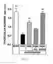 Fig. 08 - Methods of treating or preventing estrogen-related diseases