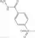 Fig. 435 - Therapeutic uses of compounds which selectively modulate the CB2 receptor