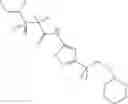 Fig. 463 - Therapeutic uses of compounds which selectively modulate the CB2 receptor