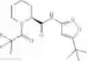 Fig. 573 - Heterocyclic compounds which modulate the CB2 receptor