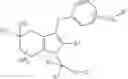 Fig. 323 - CRTH2 MODULATORS