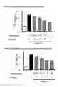 Fig. 02 - P38 MAP kinase inhibitors