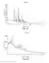 Fig. 14 - Polymorphic forms of 1-′4-(5-cyanoindol-3-yl) butyl-4-(2-carbamoylbenzofuran-5-yl)piperazine hydrochloride