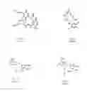 Fig. 02 - Small-molecule Hsp90 inhibitors