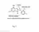 Fig. 03 - Small-molecule Hsp90 inhibitors