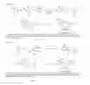 Fig. 08 - Small-molecule Hsp90 inhibitors