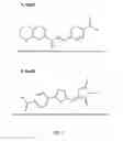 Fig. 12 - STAT3 INHIBITORS