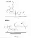 Fig. 13 - STAT3 INHIBITORS
