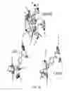 Fig. 30 - STAT3 INHIBITORS