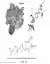 Fig. 32 - STAT3 INHIBITORS