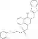 Fig. 428 - STAT3 INHIBITORS