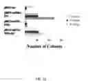 Fig. 43 - STAT3 INHIBITORS