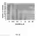 Fig. 45 - STAT3 INHIBITORS