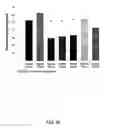 Fig. 46 - STAT3 INHIBITORS
