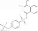 Fig. 491 - STAT3 INHIBITORS