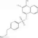 Fig. 505 - STAT3 INHIBITORS