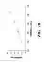 Fig. 13 - NARINGENIN COMPLEXES AND METHODS OF USE THEREOF