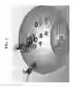 Fig. 02 - Inhibitors of C-Kit and Uses Thereof