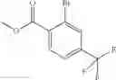 Fig. 14 - Amido-tropane derivatives