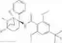 Fig. 28 - Amido-tropane derivatives