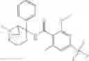 Fig. 32 - Amido-tropane derivatives