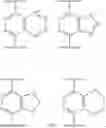 Fig. 17 - NOVEL INHIBITORS OF HEPATITIS C VIRUS REPLICATION