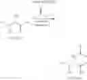 Fig. 232 - NOVEL INHIBITORS OF HEPATITIS C VIRUS REPLICATION