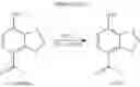 Fig. 290 - NOVEL INHIBITORS OF HEPATITIS C VIRUS REPLICATION
