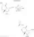 Fig. 313 - NOVEL INHIBITORS OF HEPATITIS C VIRUS REPLICATION