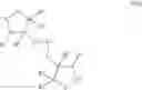 Fig. 482 - NOVEL INHIBITORS OF HEPATITIS C VIRUS REPLICATION