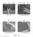 Fig. 09 - Foam-like materials and methods for producing same