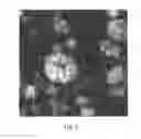Fig. 06 - FLAME RETARDANT, METHOD OF MANUFACTURING THE SAME, RESIN COMPOSITION OF MATTER, AND METHOD OF MANUFACTURING THE SAME