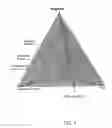 Fig. 06 - Methods of preparing hydroxy functional vegetable oils