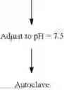 Fig. 50 - IgG-Fc FRAGMENT AND PROCESS FOR PRODUCING THE SAME