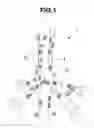 Fig. 02 - Lymph node removing method