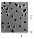 Fig. 09 - Photodynamic bone stabilization and drug delivery systems
