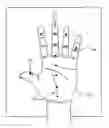 Fig. 01 - Method of performing Soojichim acupuncture using bodycopy