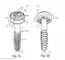 Fig. 02 - Polyaxial facet fixation screw system with fixation augmentation