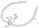 Fig. 01 - Cardiovertor/defibrillator