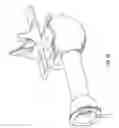 Fig. 17 - System and methods for performing surgical procedures and assessments