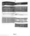 Fig. 10 - METHODS FOR GENERATING CARTILAGE TISSUE