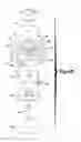 Fig. 08 - Method for aligning a prosthesis