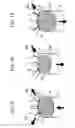Fig. 09 - Internal combustion engine with cylinders that can be de-activated, with exhaust gas recirculation by variable control of the intake valves, and method for controlling an internal combustion engine