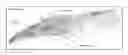 Fig. 01 - Analyzing borehole seismic data to locate subsurface diffractors