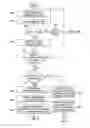Fig. 07 - Providing compartmentalized security in product reviews