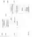 Fig. 15 - SYSTEM FOR TARGETING ADVERTISING CONTENT TO A PLURALITY OF MOBILE COMMUNICATION FACILITIES