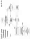 Fig. 22 - K engine - process count after build in threads